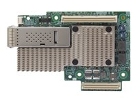 Broadcom BCM957504-M1100G16 - Netværksadapter - OCP - 100 Gigabit Ethernet x 1 BCM957504-M1100G16