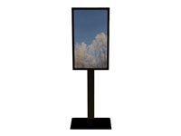 HI-ND Floorstand Glass with Casing 55" - Stativ - for digital skiltning LCD-panel - metal, glas - sort, RAL 9005 - skærmstørrelse: 55" - monteringsgrænseflade: 200 x 200 mm - gulvstående - for LG 55XS2, 55XS4 FS5525-5001-02