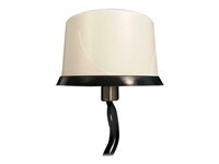 Cisco Dual LTE-Single GPS Multi-band - Antenne - mobil - 2.5 dBi - omni-directional - udendørs, indendørs - sort 4G-LTE-ANTM-O-3-B=