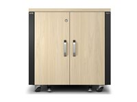 APC NetShelter - Rack (lodret) - lydtæt - AC 100-230 V - ahornfarvet - 12U - 19" - TAA-kompatibel - for P/N: SMTL1500RMI3UC, SRT2200RMXLAUS, SRTL3KRM1UC, SRTL3KRM1UNC, SRYL20K20RMXLT AR4012A