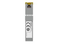NETGEAR AXM765v2 - SFP+ transceiver modul - 10GbE - 10GBase-T - RJ-45 - op til 80 m AXM765-20000S