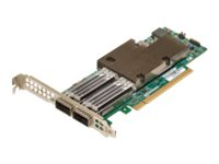 Broadcom NetXtreme E-Series P2100G - Netværksadapter - PCIe 4.0 x16 lavprofil - 100 Gigabit QSFP56 x 2 BCM957508-P2100G
