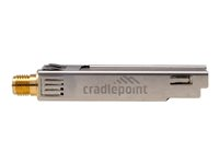 Cradlepoint MC20BT - Netværksadapter - Bluetooth 5.1 LE - for Cradlepoint E300, E3000; E300 Series Enterprise Router E300-5GB BF-MC20-BT