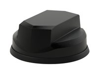 Panorama Great White - Antenne - Wi-Fi - 6 dBi - omni-directional - sort LPMMB-6-60