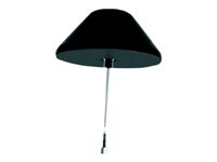 Cisco Integrated 4G Low-Profile Outdoor Saucer Antenna - Antenne - mobil - omni-directional - udendørs, kan monteres i loftet - sort - for P/N: C1111-4PLTELA, C1111-8PLTEEA-DNA, C1113-8PLTEEA, C1117-4PLTEEA, C1117-4PLTELA ANT-4G-SR-OUT-TNC=
