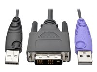 Eaton Tripp Lite Series DVI USB Server Interface w/ Virtual Media & CAC for B064 KVMs TAA - KVM / USB forlænger - op til 50 m - TAA-kompatibel - for P/N: B064-016-02-IPH, B064-016-04-IPH, B064-032-01-IPH, B064-032-02-IPH, B064-032-04-IPH B055-001-UDV