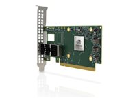 Mellanox ConnectX-6 Dx EN - netværksadapter - PCIe 4.0 x16 - 100 Gigabit DSFP x 2 900-9X675-0076-MB0