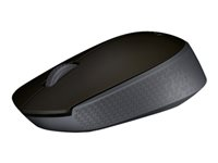 Logitech M170 - Mus - trådløs - 2.4 GHz - trådløs modtager (USB) 910-004642