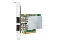 Intel E810-CQDA2 - Netværksadapter - PCIe 4.0 x16 - 100 Gigabit QSFP28 x 2 - for Edgeline e920; ProLiant DL325 Gen10, DL345 Gen10, DL360 Gen10, DL380 Gen10, DL385 Gen10 P21112-B21