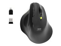 PORT Connect Professional ERGO SOFT - Mus - ergonomisk - højrehåndet - optisk - 5 knapper - trådløs - 2.4 GHz, Bluetooth - trådløs modtager (USB) 910200